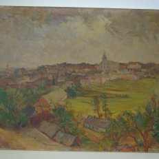Žamberk - krajina